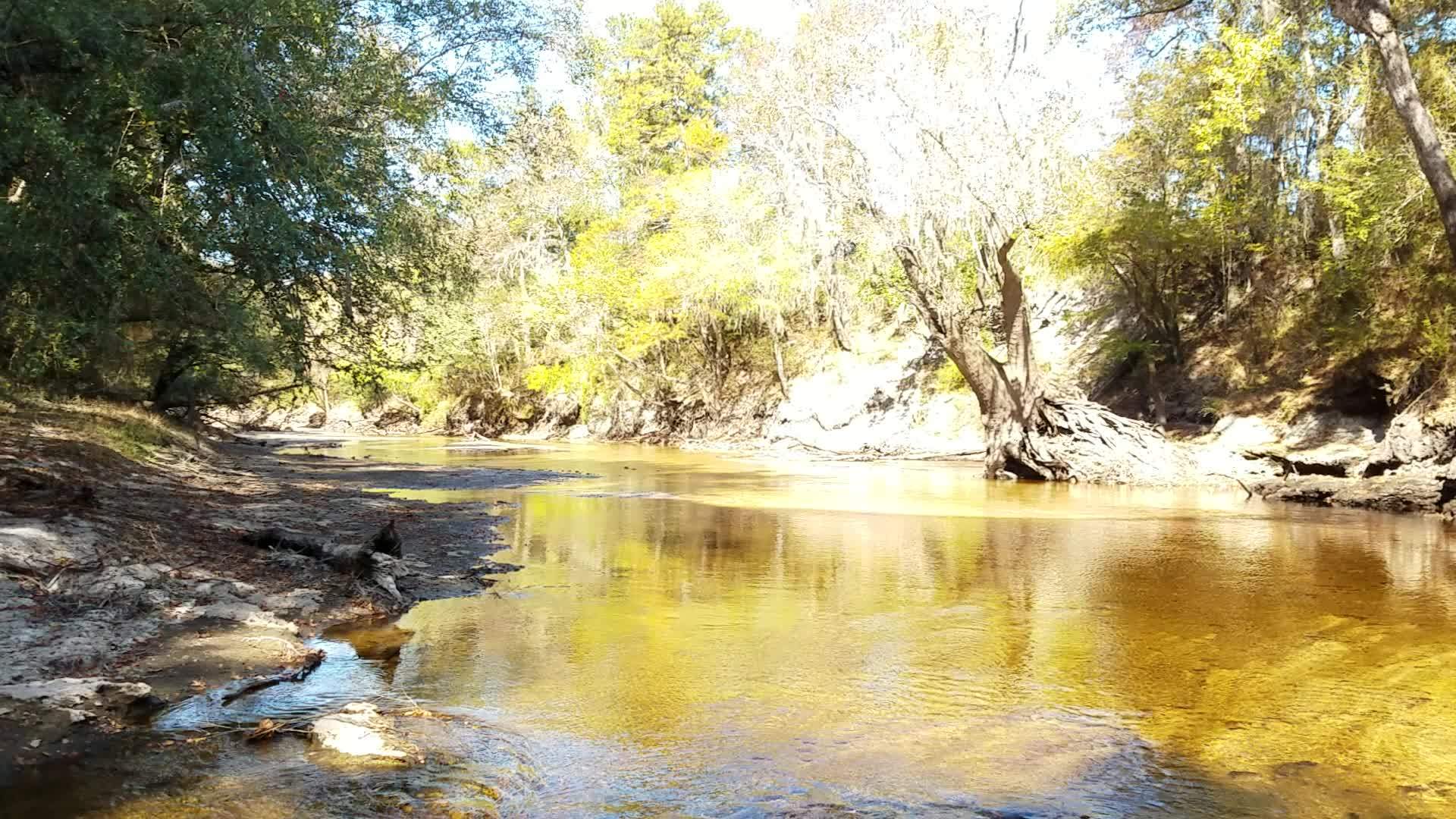 Movie: Alapaha River (2.0M), 30.5855934, -83.0528291