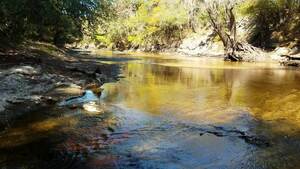 [Movie: Alapaha River flowing into the sink (25M), 30.5855189, -83.0528064]