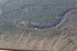 [Florida Trail between planted pines and Suwannee River, 30.358690, -82.857069]