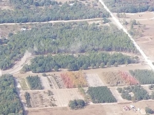 [smoke, 2499 Northwest 50th Street, Bell, FL 32619, 29.8508333, -82.8058333]