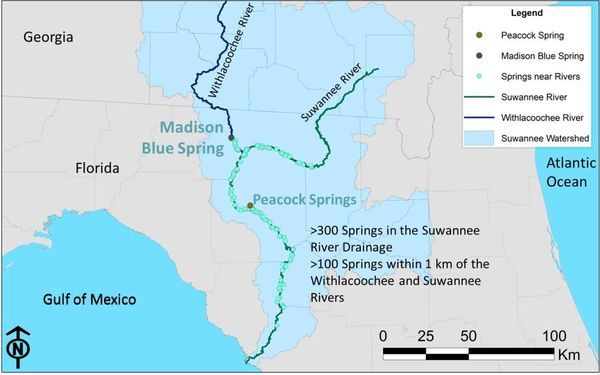 [Springs map by Amy Brown]