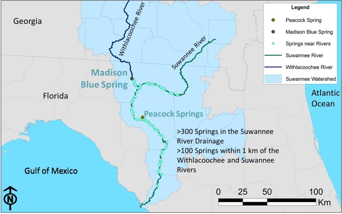 Springs map by Amy Brown