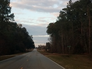 [Sabal Trail visible past Barrett Coody Rd. 30.7292721, -83.3840801]