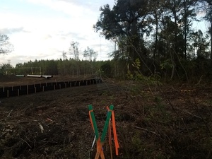 [Phone line and silt fence n. Watkins Rd. 30.7360910, -83.3939848]