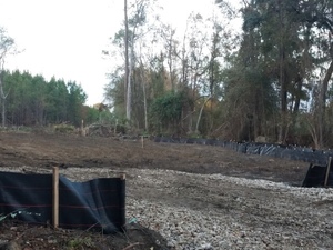 [Silt fence s. Watkins Rd. 30.7358994, -83.3943271]