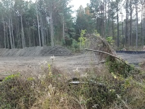 [Silt fence and berm s. of Watkins Rd. 30.7363201, -83.3891177]