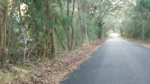 [Movie: Canopy Phillips Rd curb, gutter, and Sabal Trail 172034 (181M) 30.7423975, -83.3824492]