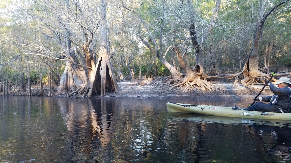 Phil and the roots paddle, 08:31:46, 30.6797413, -82.5608813