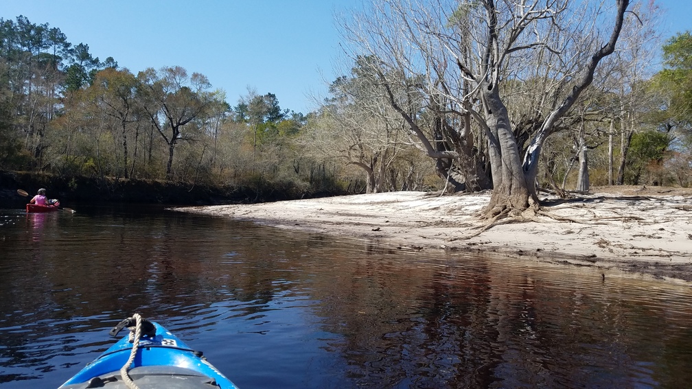 Wrested vegetation and beach, 11:54:03, 30.6281403, -82.6355074