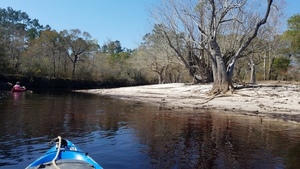 [Wrested vegetation and beach, 11:54:03, 30.6281403, -82.6355074]