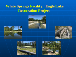 White Springs Facility:  Eagle Lake Restoration Project 