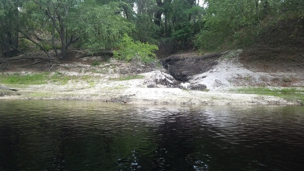 [Creek confluence, 2017:05:20 10:57:08, 30.3663300, -82.8778100 --jsq for WWALS]