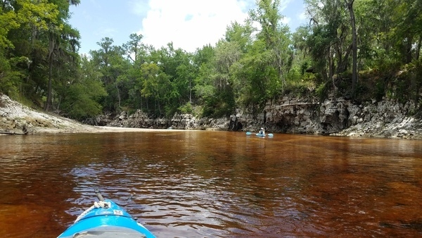 [Orange-red left, 2017:05:20 12:24:08, 30.3721351, -82.8900923 --jsq for WWALS]