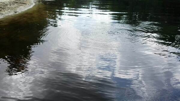 [Movie: Bubbles above Suwannee Springs, 2017:05:20 15:23:59, 30.3948300, -82.9332000 --jsq for WWALS]