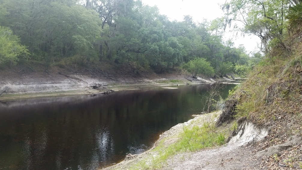 Upstream, 2017:05:20 10:19:57, 30.3620400, -82.8682200 --jsq for WWALS