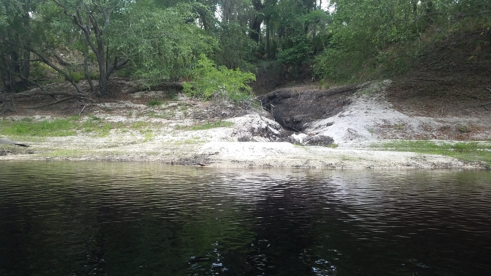 Creek confluence, 2017:05:20 10:57:08, 30.3663300, -82.8778100 --jsq for WWALS