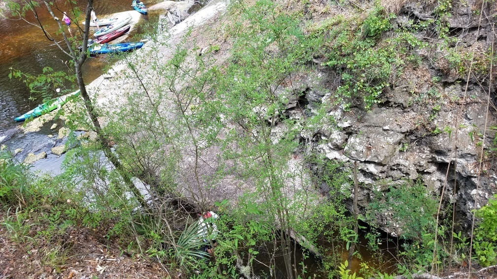 Try not to fall one someone's head, 2017:05:20 11:43:32, 30.3693900, -82.8884900 --jsq for WWALS