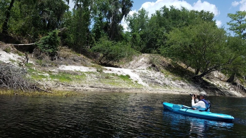 Inquiring minds want to know, below Hamilton Tract Creek, 2017:05:20 14:07:12, 30.3862000, -82.9056800 --jsq for WWALS