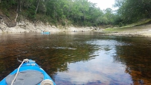 [Limestone bottom, 2017:05:20 10:54:14, 30.3656800, -82.8764400 --jsq for WWALS]