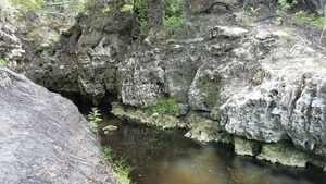 [Up Camp Branch, 2017:05:20 11:37:58, 30.3694600, -82.8886200 --jsq for WWALS]