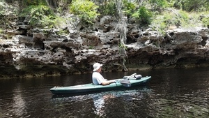 [Dan Coleman, 2017:05:20 12:48:37, 30.3825000, -82.8907700 --jsq for WWALS]