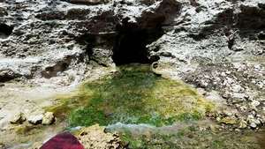 [Movie: Very green sulfur spring water, 2017:05:20 15:02:47, 30.390171, -82.926832, --jsq for WWALS]