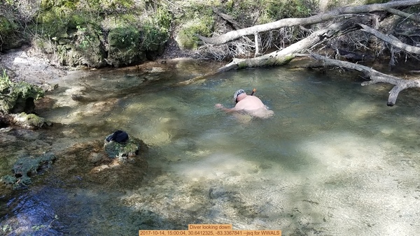 Diver looking down, 2017-10-14, 15:00:04, 30.6412325, -83.3367841 --jsq for WWALS