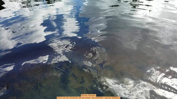 Movie: Ripples, 2017-10-14, 10:44:42, 30.6412325, -83.3367841 --jsq for WWALS