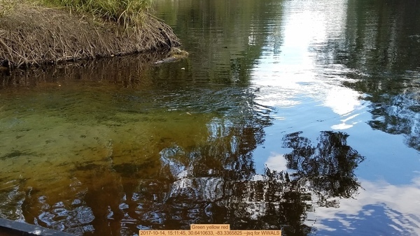 Green yellow red, 2017-10-14, 15:11:45, 30.6410633, -83.3365825 --jsq for WWALS