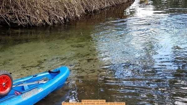 Blue-green spring water, 2017-10-14, 15:12:46, 30.6411465, -83.3367514 --jsq for WWALS