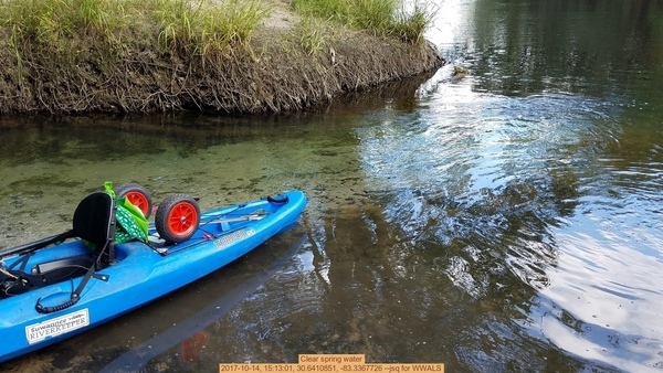 Clear spring water, 2017-10-14, 15:13:01, 30.6410851, -83.3367726 --jsq for WWALS