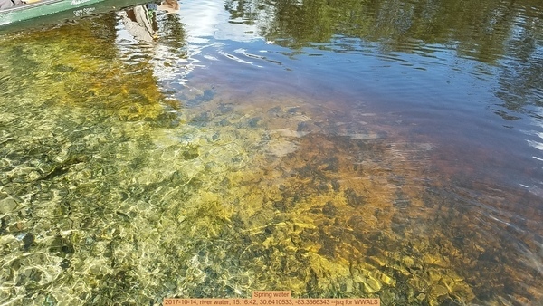 Spring water, 2017-10-14, river water, 15:16:42, 30.6410533, -83.3366343 --jsq for WWALS