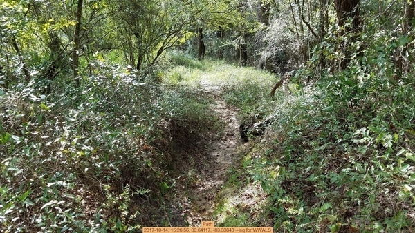 Path, 2017-10-14, 15:26:56, 30.64117, -83.33643 --jsq for WWALS