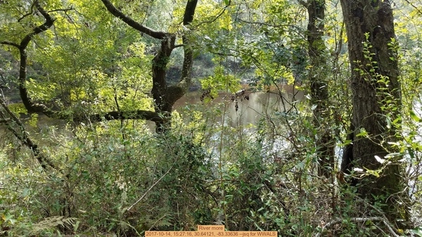 River more, 2017-10-14, 15:27:16, 30.64121, -83.33636 --jsq for WWALS