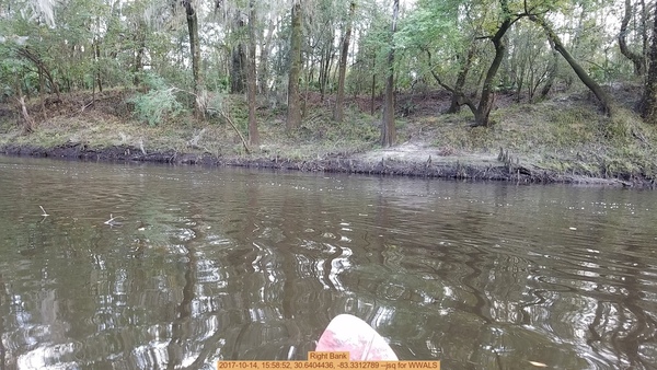 Right Bank, 2017-10-14, 15:58:52, 30.6404436, -83.3312789 --jsq for WWALS