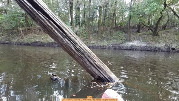 Post, 2017-10-14, 15:58:57, 30.64043, -83.33119 --jsq for WWALS