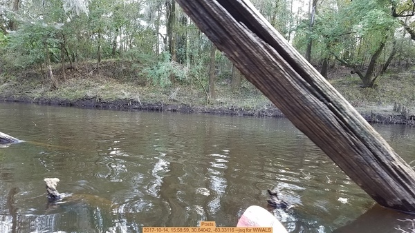 Posts, 2017-10-14, 15:58:59, 30.64042, -83.33116 --jsq for WWALS