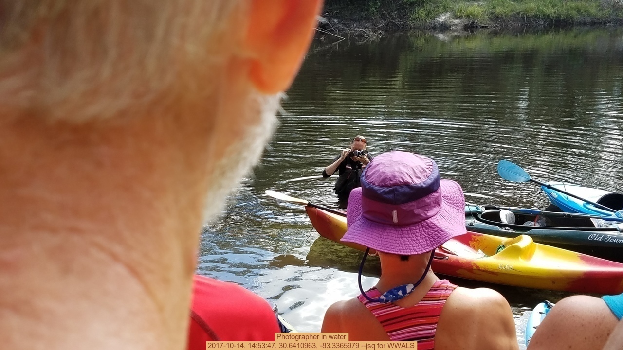 Photographer in water, 2017-10-14, 14:53:47, 30.6410963, -83.3365979 --jsq for WWALS