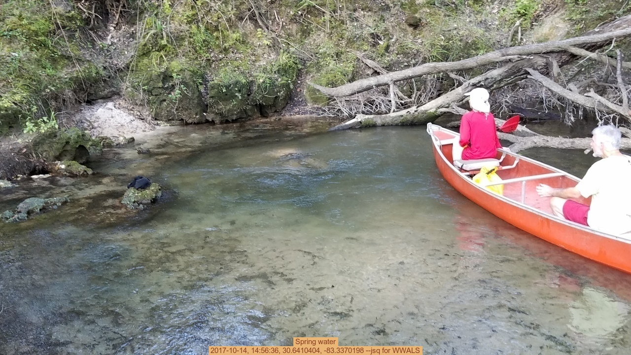 Spring water, 2017-10-14, 14:56:36, 30.6410404, -83.3370198 --jsq for WWALS