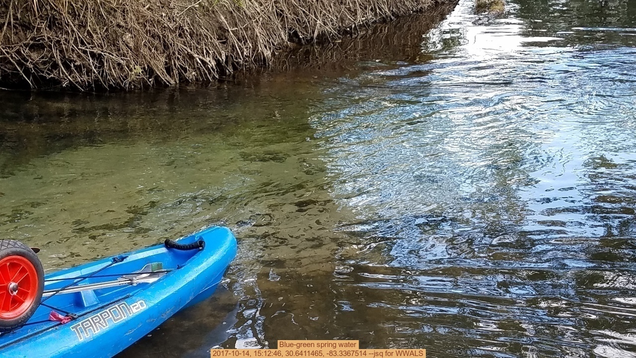 Blue-green spring water, 2017-10-14, 15:12:46, 30.6411465, -83.3367514 --jsq for WWALS
