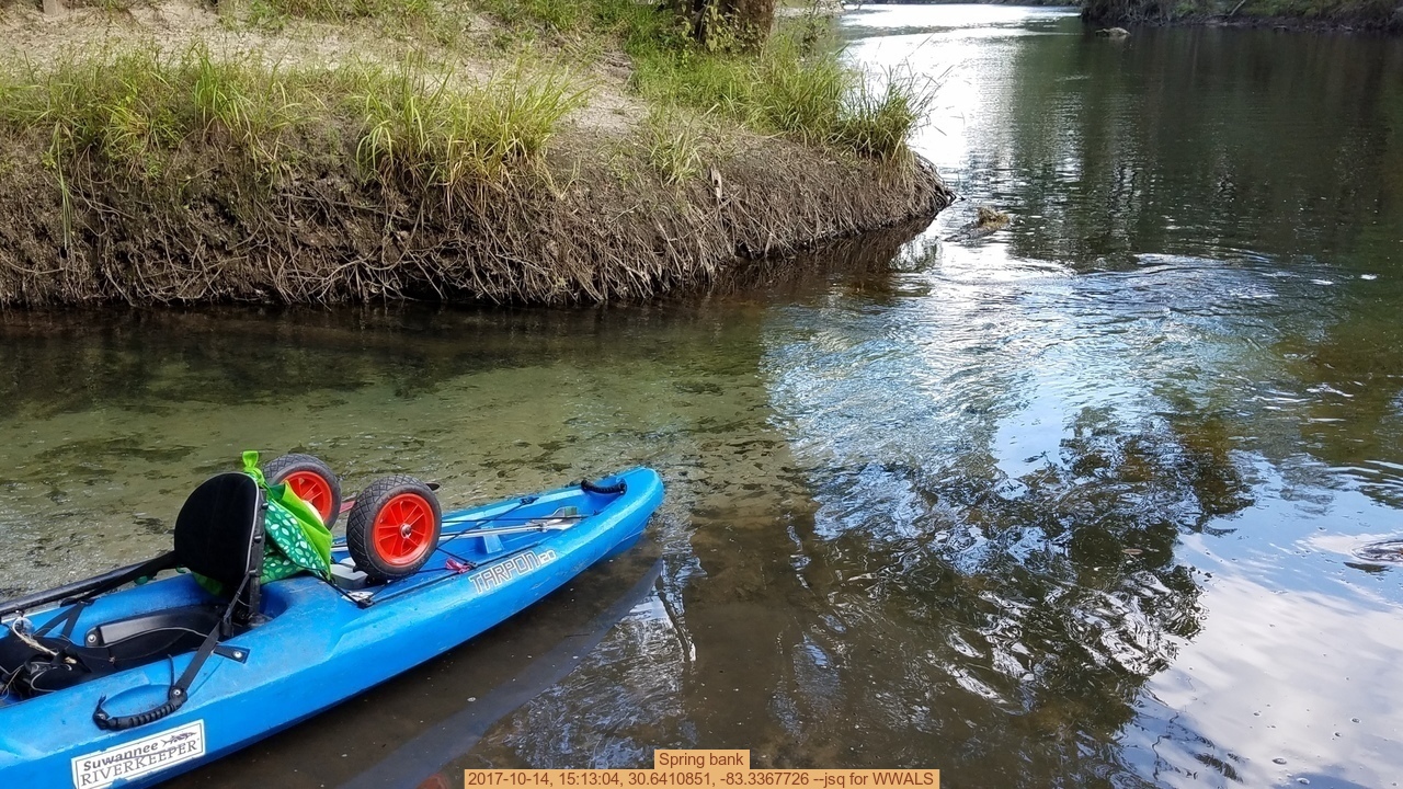 Spring bank, 2017-10-14, 15:13:04, 30.6410851, -83.3367726 --jsq for WWALS