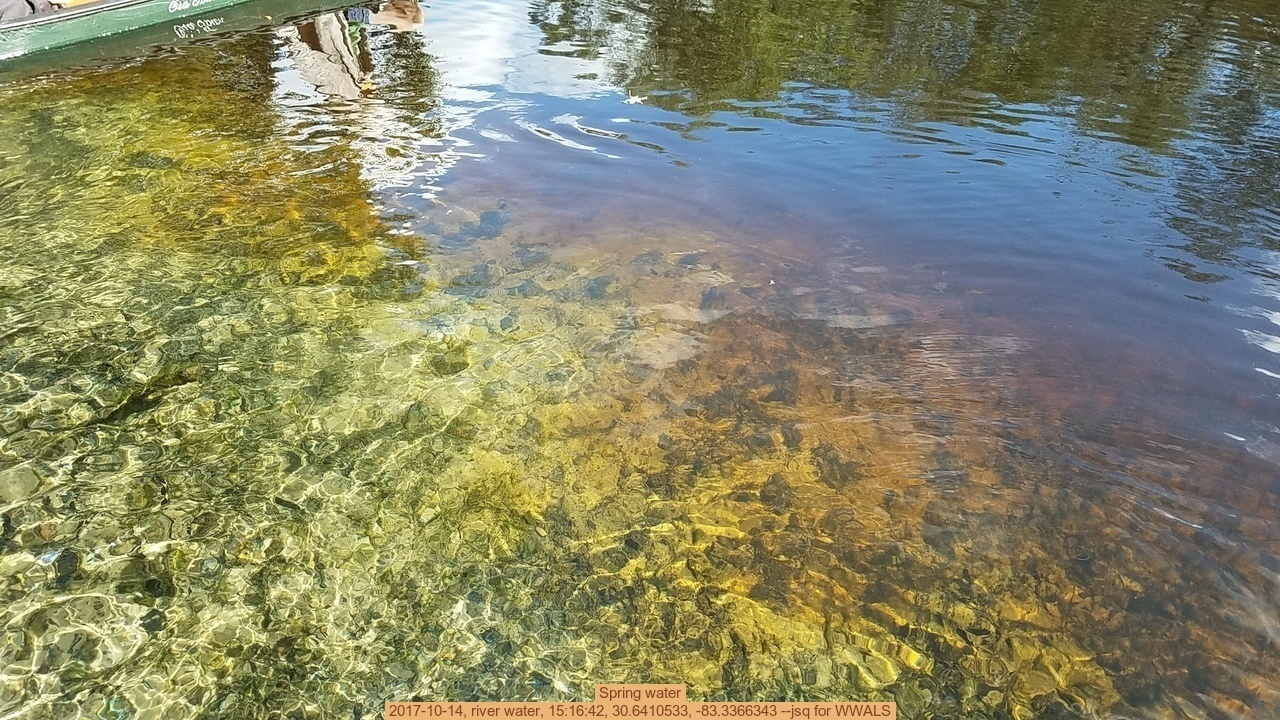Spring water, 2017-10-14, river water, 15:16:42, 30.6410533, -83.3366343 --jsq for WWALS