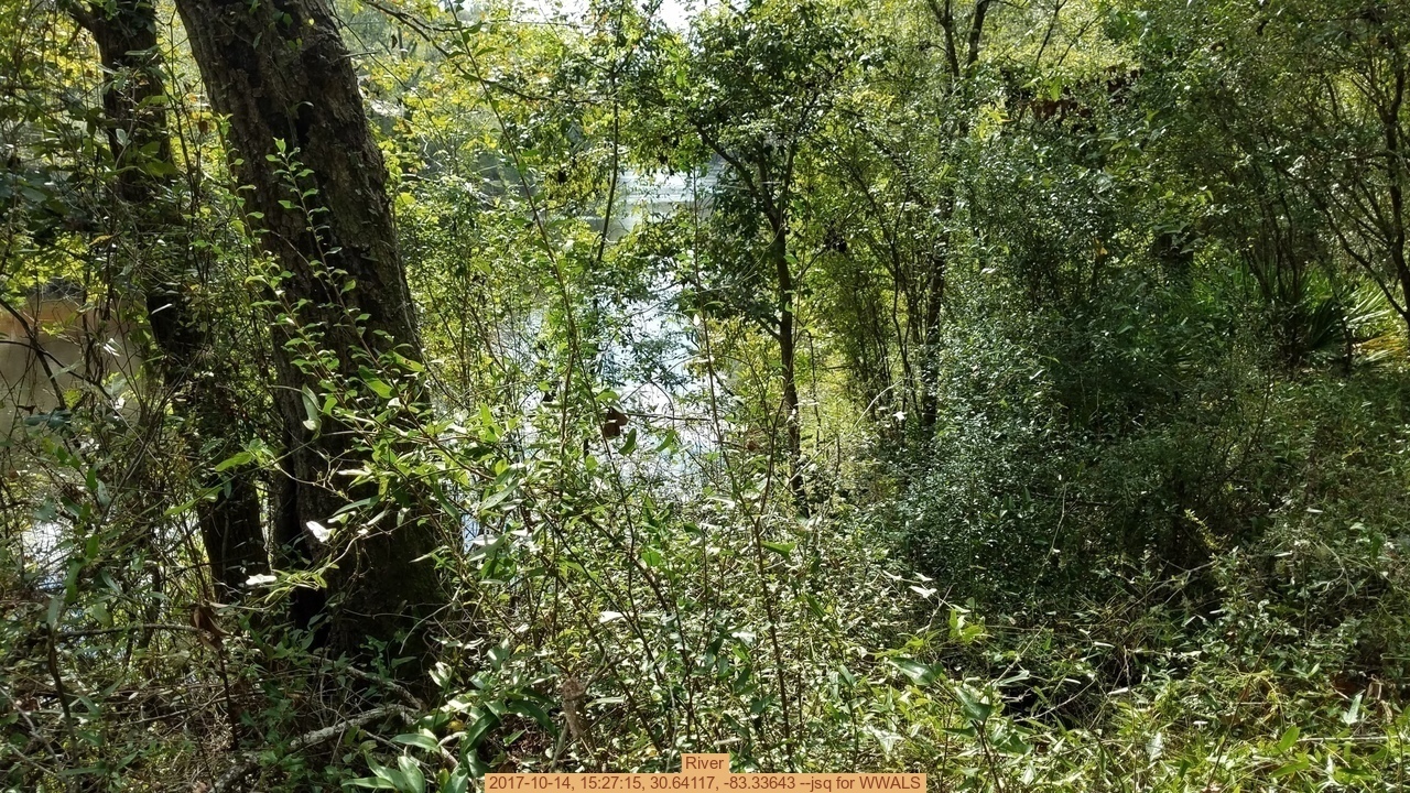 River, 2017-10-14, 15:27:15, 30.64117, -83.33643 --jsq for WWALS