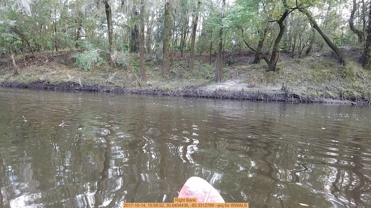 Right Bank, 2017-10-14, 15:58:52, 30.6404436, -83.3312789 --jsq for WWALS