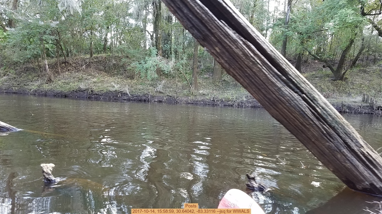 Posts, 2017-10-14, 15:58:59, 30.64042, -83.33116 --jsq for WWALS