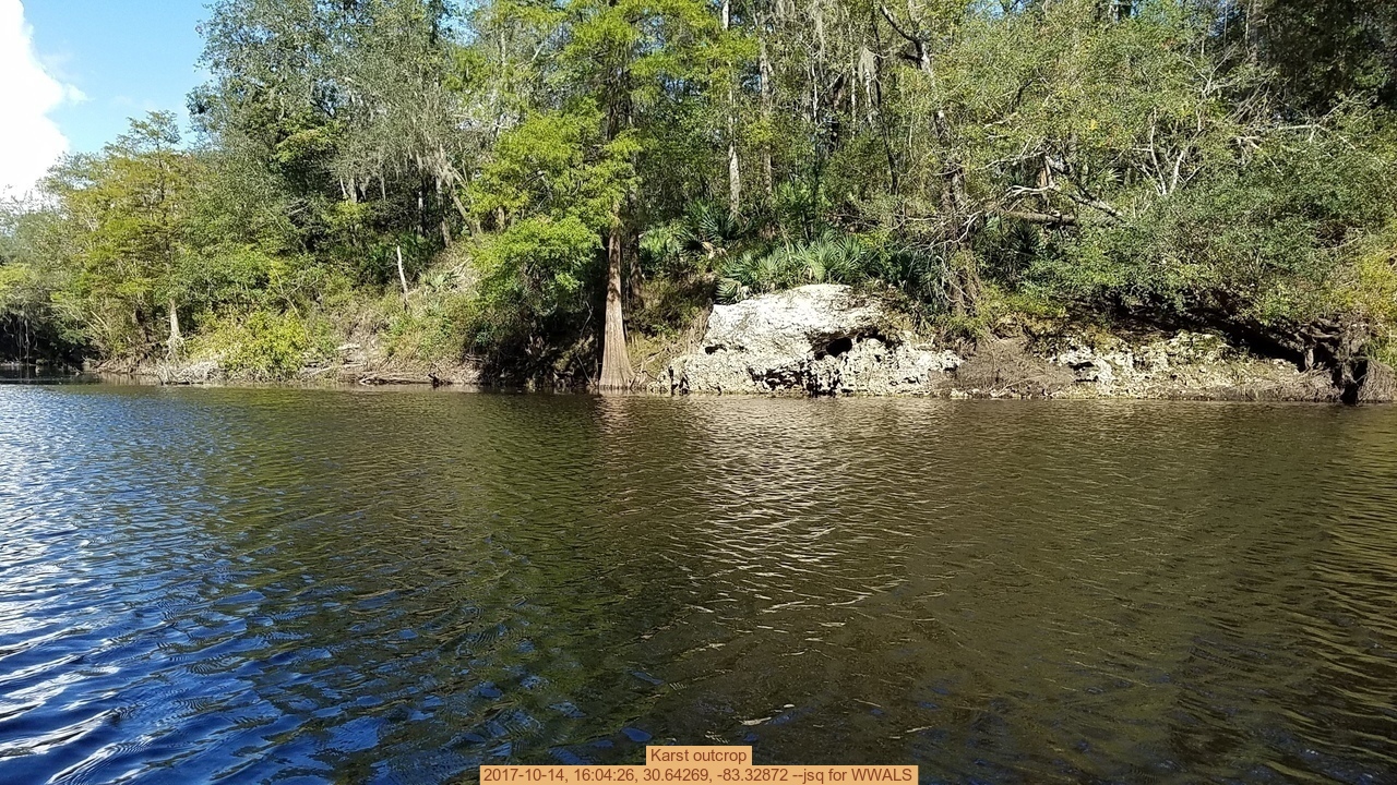 Karst outcrop, 2017-10-14, 16:04:26, 30.64269, -83.32872 --jsq for WWALS