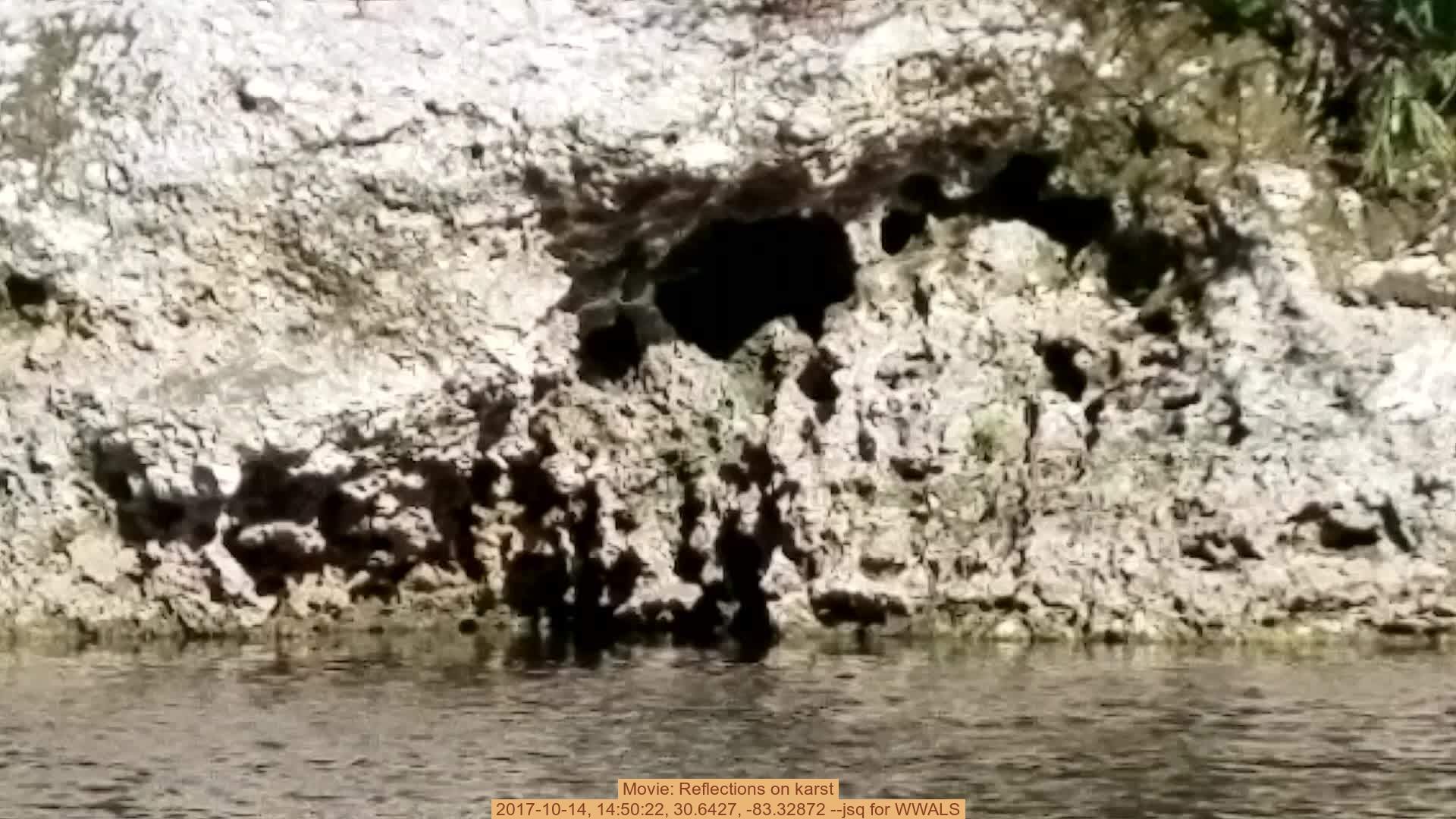 Movie: Reflections on karst, 2017-10-14, 14:50:22, 30.6427, -83.32872 --jsq for WWALS