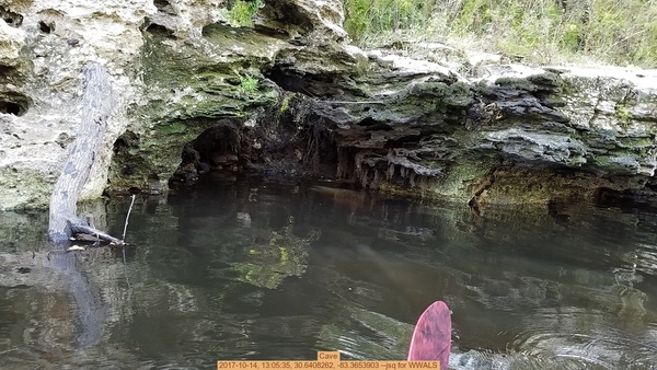 Cave, 2017-10-14, 13:05:35, 30.6408262, -83.3653903 --jsq for WWALS