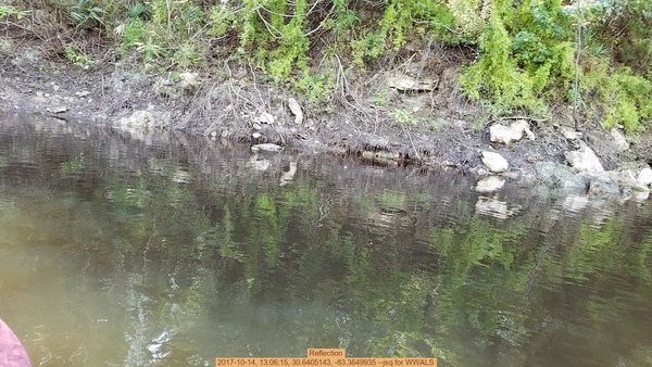 Reflection, 2017-10-14, 13:06:15, 30.6405143, -83.3649935 --jsq for WWALS