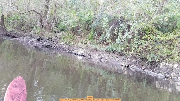 More, 2017-10-14, 13:06:37, 30.6405042, -83.3647726 --jsq for WWALS